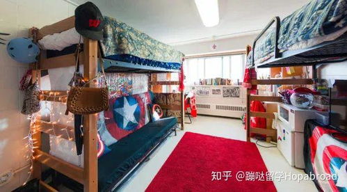 舌尖上的威斯康星 麥迪遜分?？觳臀幕械膶W術與活力